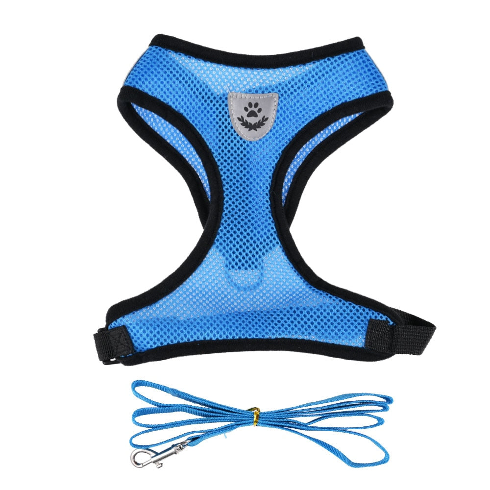 Harnais et sa laisse pour chat