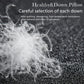 Oreiller d'hôtel de luxe - Coton & Plume d'oie