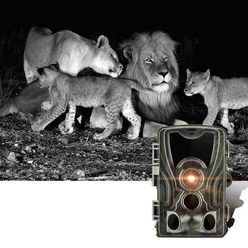 Caméra de Chasse Vision Nocturne