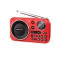 Mini Radio FM Vintage 4 en 1 avec fonction enregistrement - Bluetooth + Lecteur USB et Carte SD