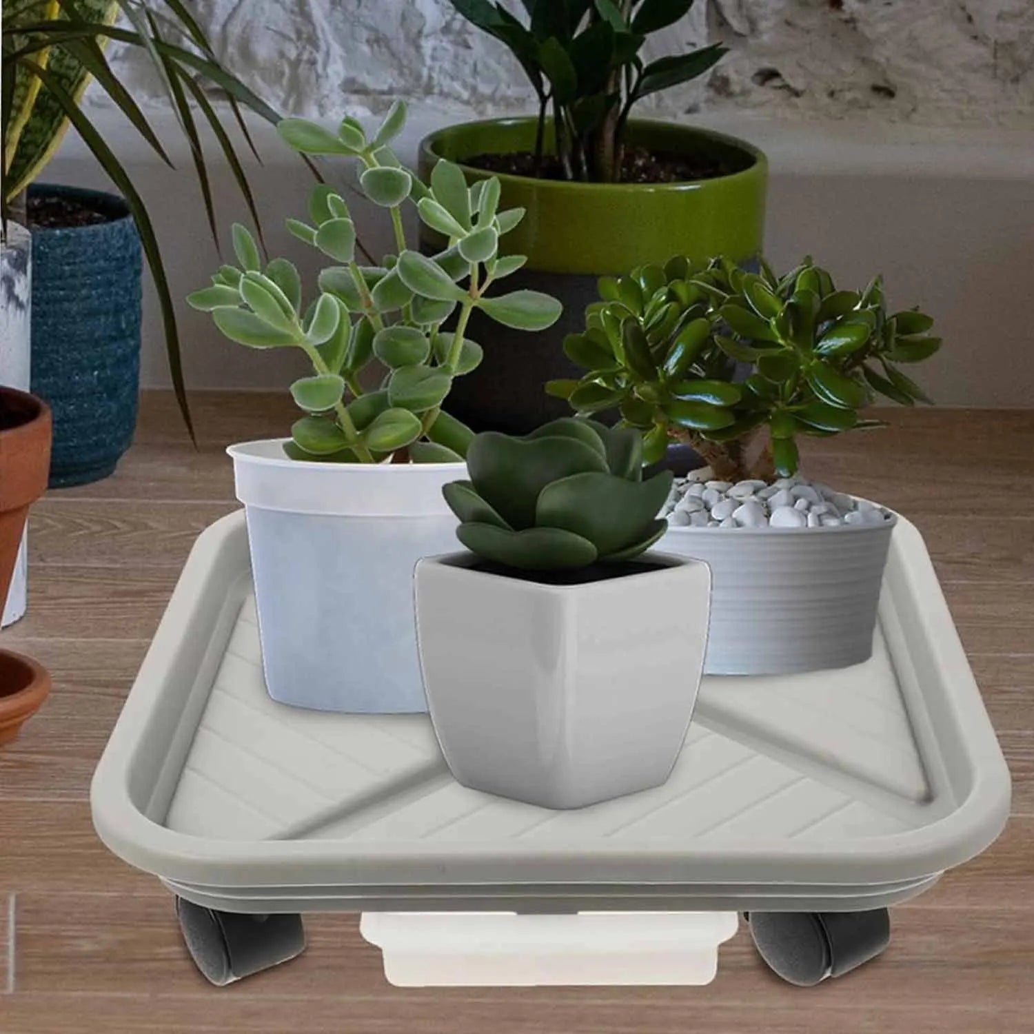 Support à Roulettes pour Plantes avec Bac de Drainage