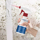 Spray Anti Moisissures