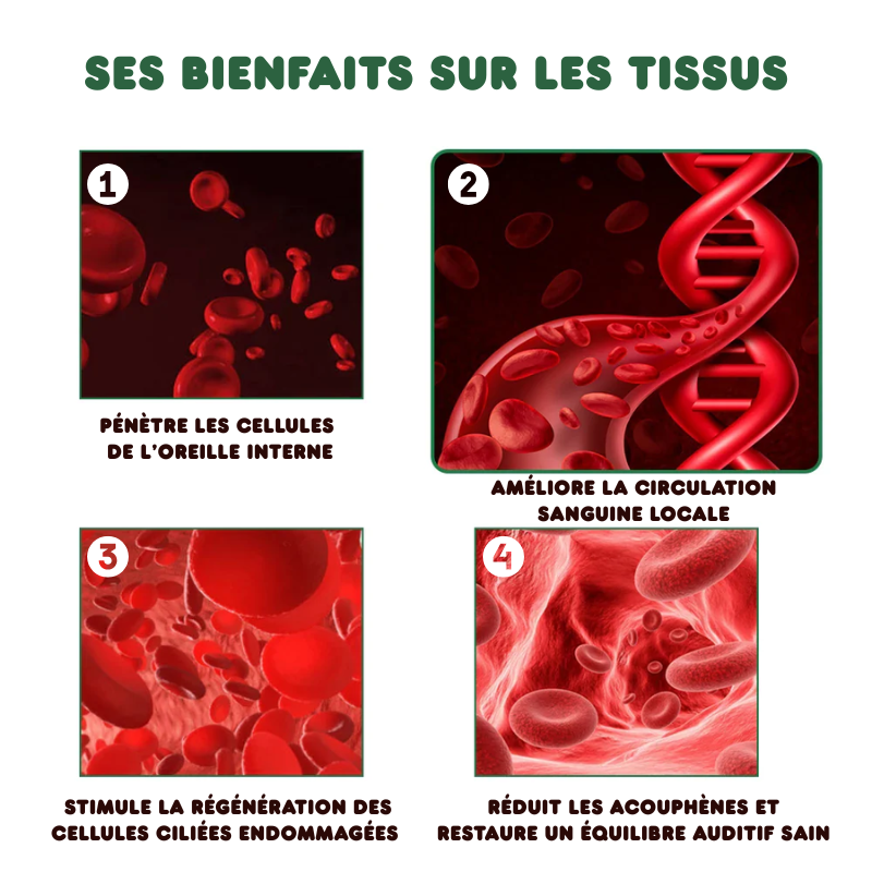 Écouteurs Anti-acouphènes par Thérapie Infrarouge