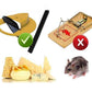 Piège à rats et souris avec trappe intelligente