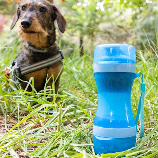 Bouteille avec distributeur d'eau et aliments pour animaux 2 en 1