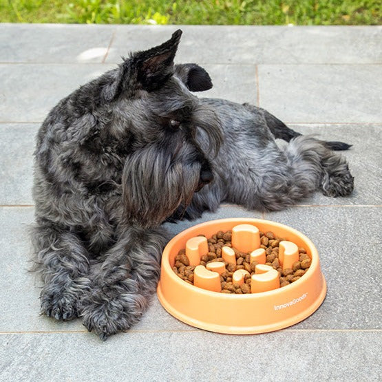 SLOWFI - Gamelle à alimentation lente pour animaux de compagnie