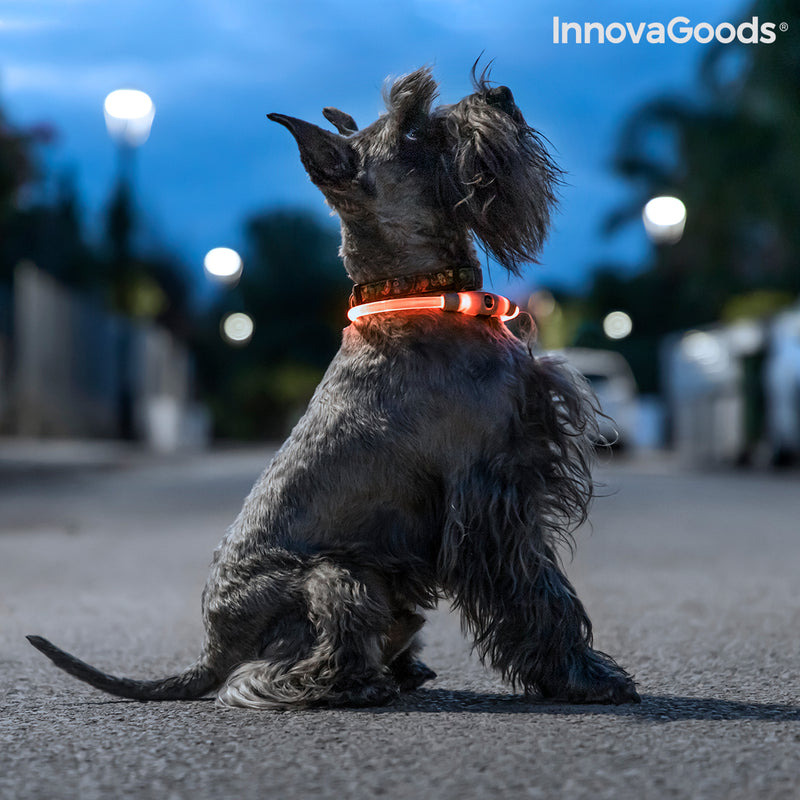 Collier à LED pour Animaux Petlux InnovaGoods