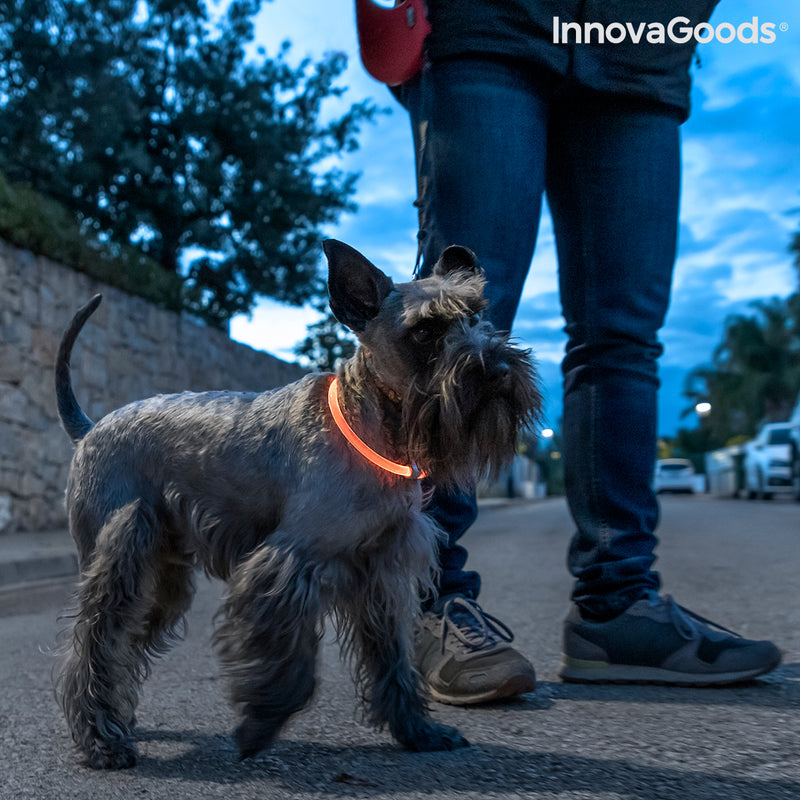 Collier à LED pour Animaux Petlux InnovaGoods