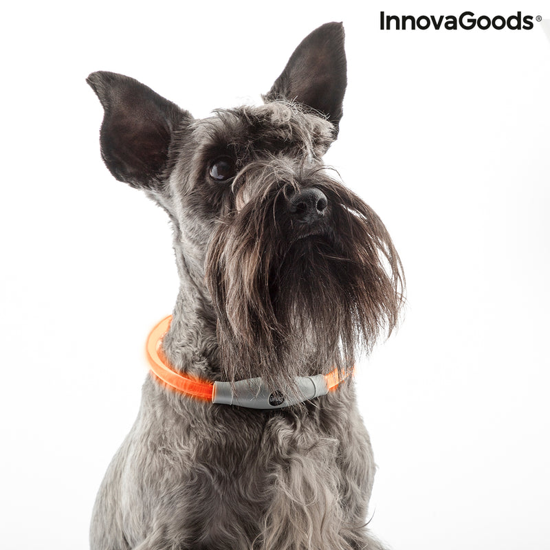 Collier à LED pour Animaux Petlux InnovaGoods