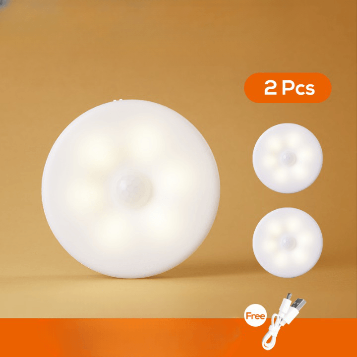 Lot de 2 lampes LED détecteur de mouvement