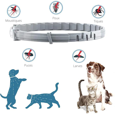 PROTECT : Collier anti-parasites pour chiens et chats