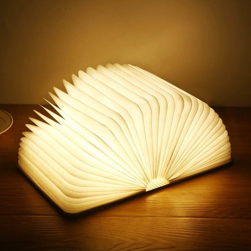 Lampe livre - Sans fil - DealValley